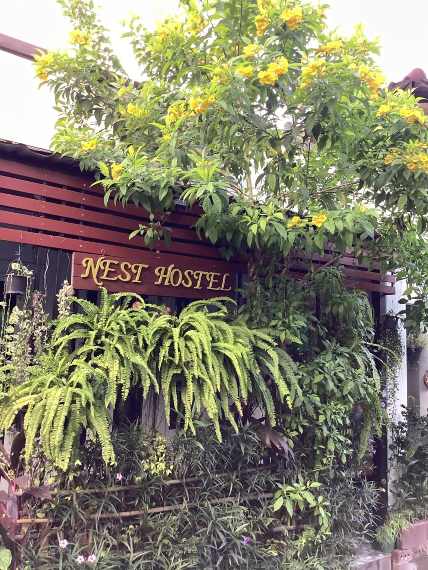 Nest Hostel Lipe Bagian luar foto