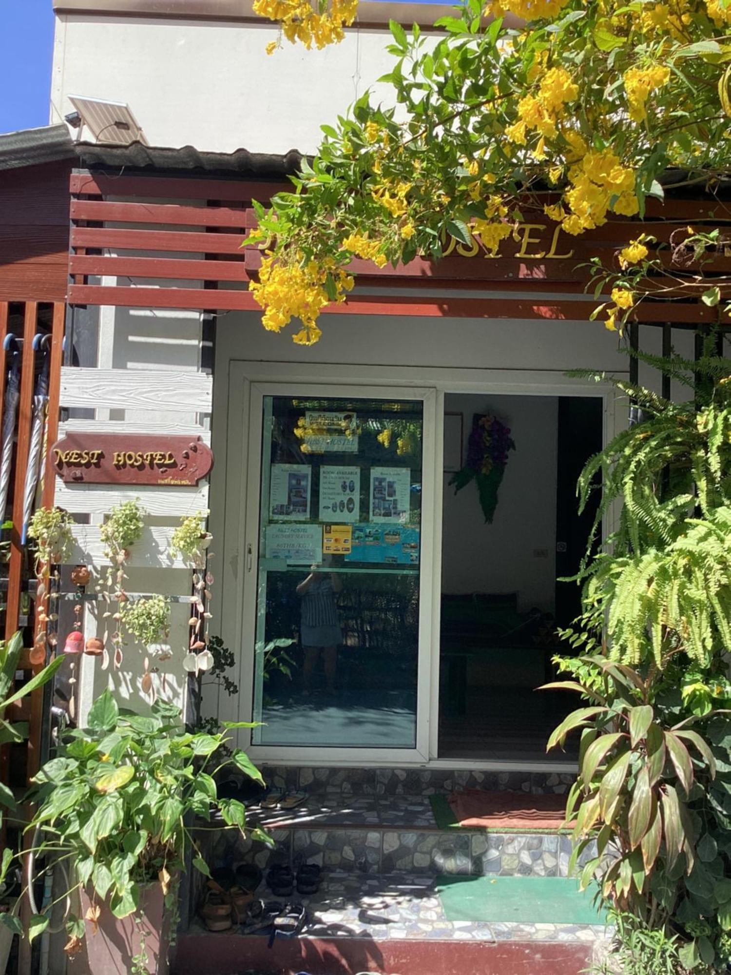 Nest Hostel Lipe Bagian luar foto