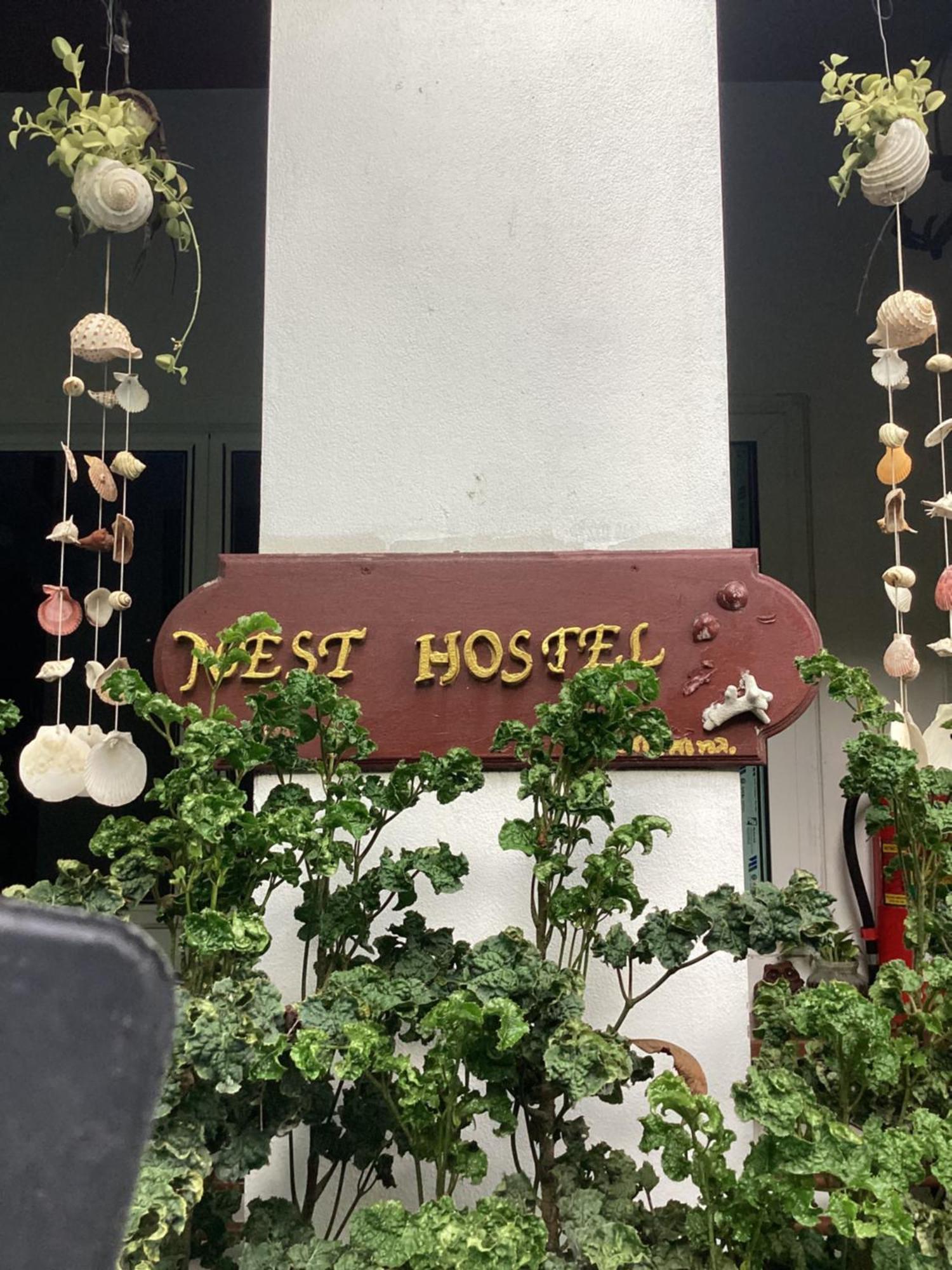 Nest Hostel Lipe Bagian luar foto