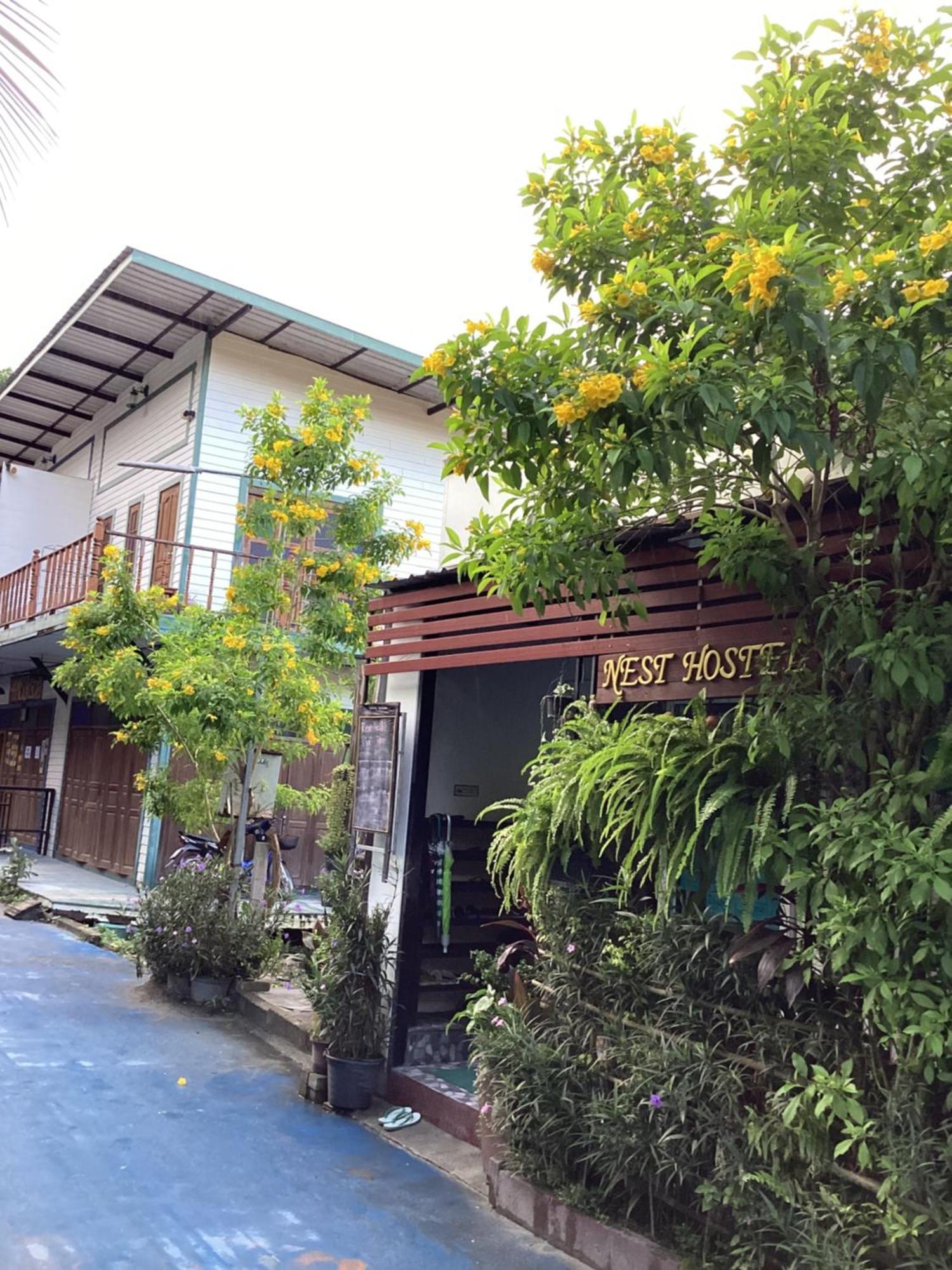 Nest Hostel Lipe Bagian luar foto