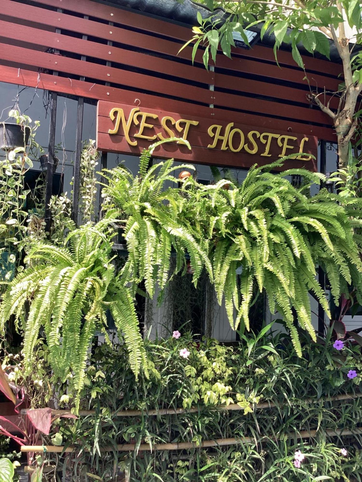Nest Hostel Lipe Bagian luar foto