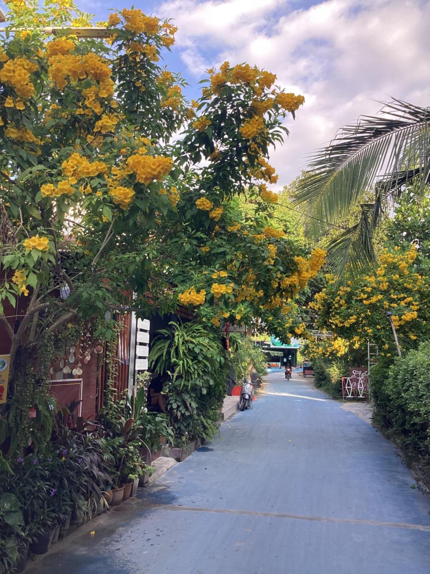 Nest Hostel Lipe Bagian luar foto